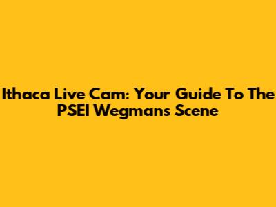 Ithaca Live Cam: Your Guide To The PSEI Wegmans Scene